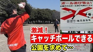 激減する「キャッチボールＯＫの公園」を求めて…旅をしました。