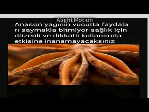Anason yağının vücutta