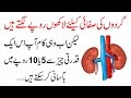 Kidney ki safai karain sirf 5 ya 10 rupay main  urdu lab