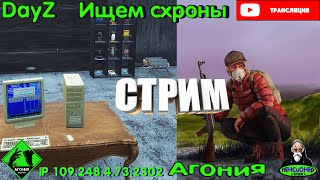 #Dayz Ищем схроны