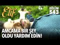 Amcama bir ?ey oldu yard?m edin! (543.Blm)