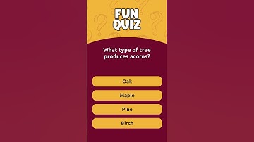 What type of tree produces acorns? #Acorns #TreeFacts #NatureFacts #Quercus #plantlife #SeedFacts