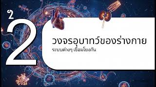 ทำความรจกกลมอาการ Ckm เมอหวใจ ไต และระบบเผาผลาญ เชอมโยงเปนหนงเดยว