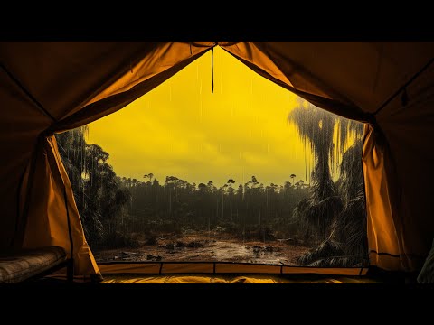 [環境音/ASMR] 雨の日にテントの中で寝る/ 睡眠用/ 作業用 [BGM]
