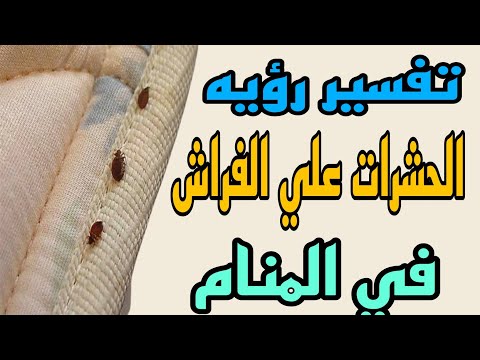 تفسير رؤيه الحشرات علي السرير او علي الفراش في المنام للعزباءوالمتزوجه والمطلقه والرجل والحامل