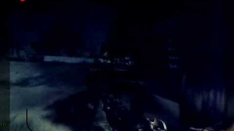 cod4 hackers caught on video