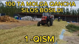 SILOS BOSISH