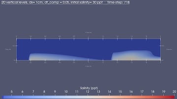 SWASH wave model - burst of underwater salty bubble animated in Paraview
