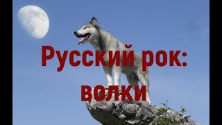Русские рок-песни про волков. Тематическая подборка