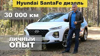 Hyundai SantaFe дизель ЛИЧНЫЙ ОПЫТ первые 30 000 км  обзор Александра Михельсона