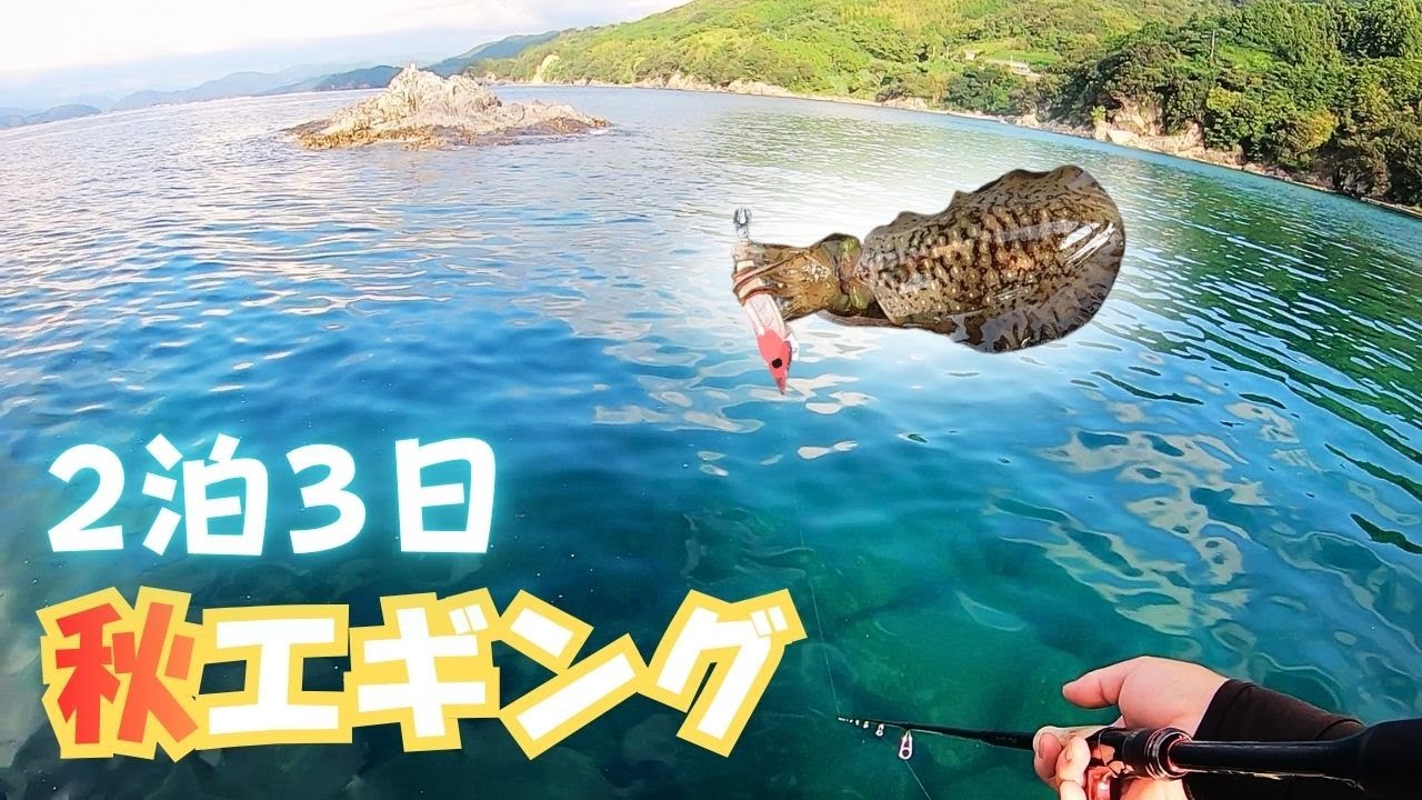【秋エギング】高知南西部で2泊3日釣りキャンプした件