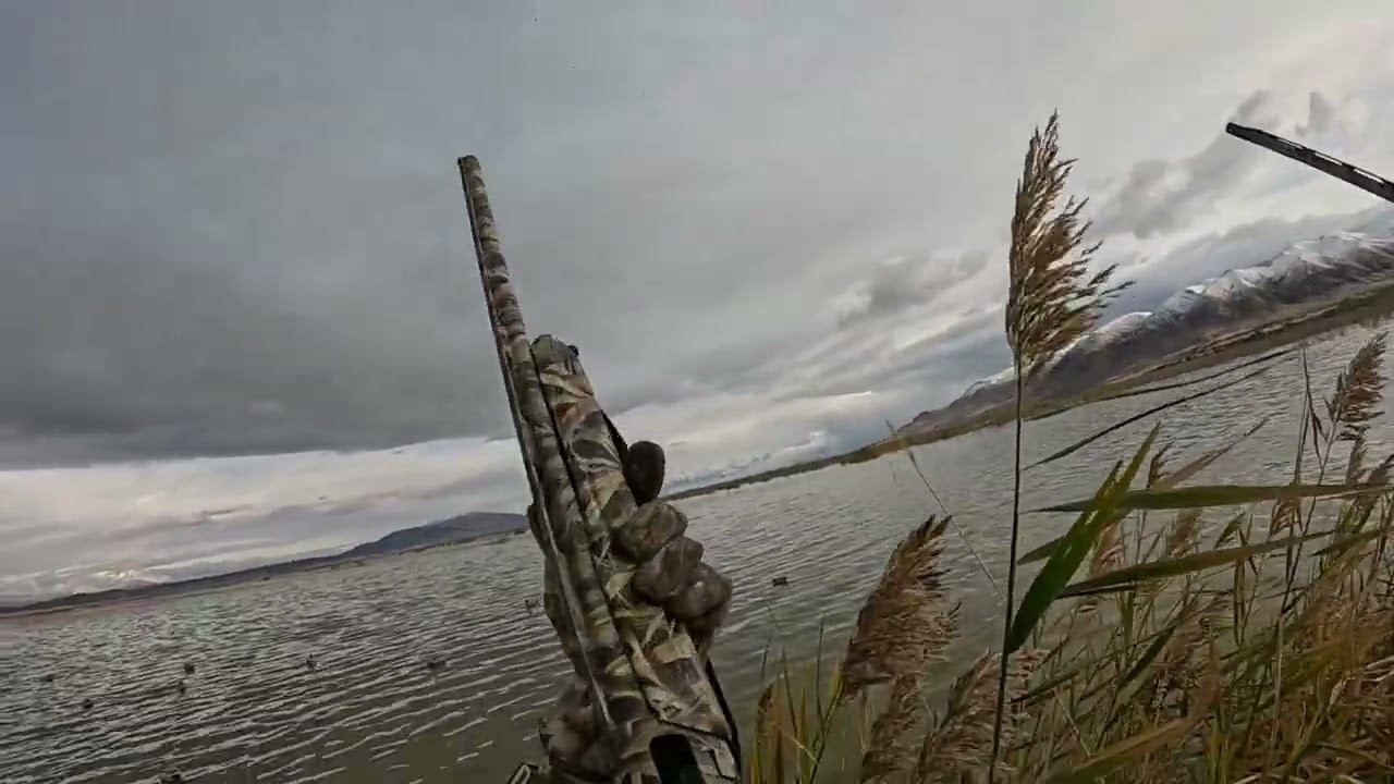 Utah lake duck hunt 11-3-24