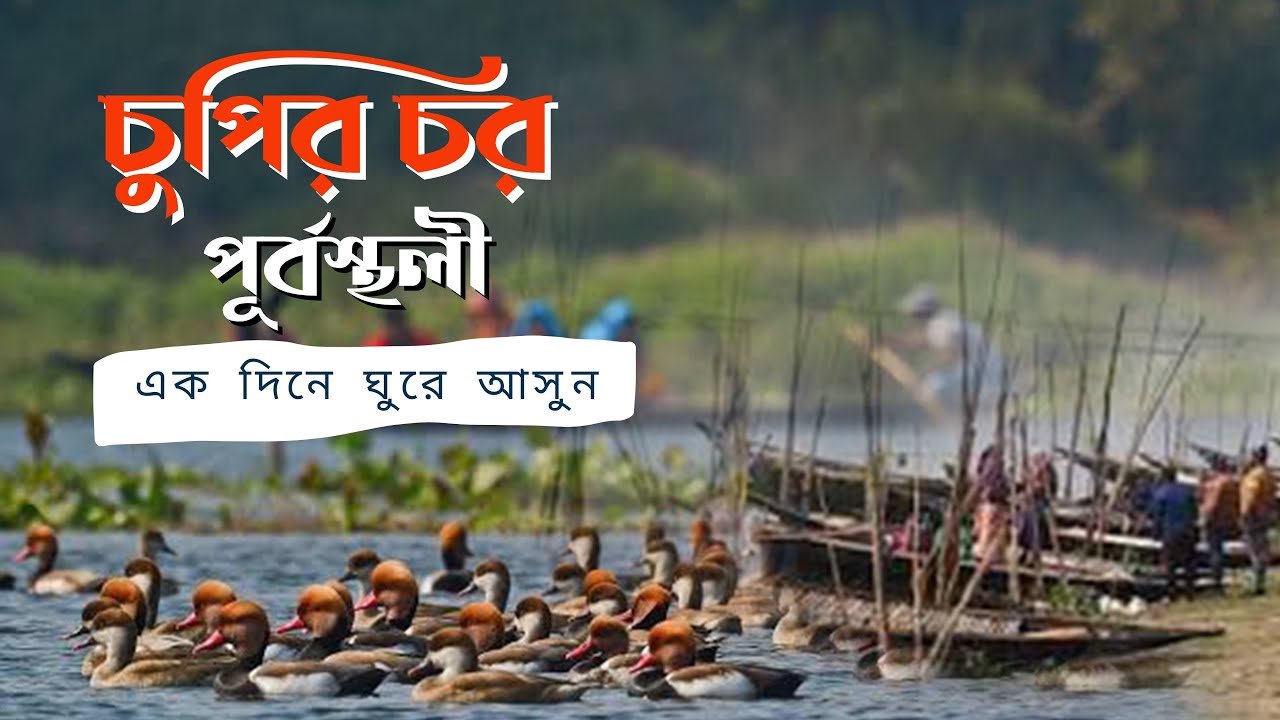 চুপির চর ll এক দিনে ঘুরে আসুন চুপির চর (পূর্বস্থলী) ॥ Chupir Char ll CHUPI BIKE TRIP 