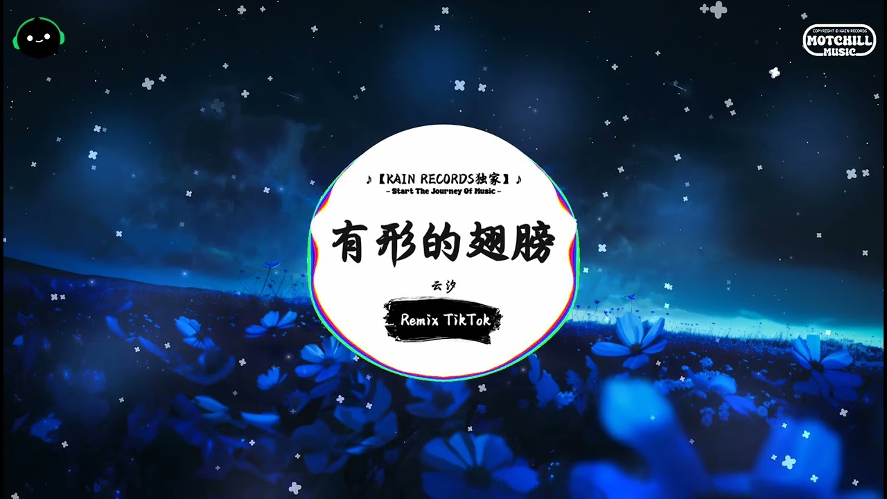 有形的翅膀 (抖音DJ版) - 云汐『这一路 翻阅了 喜与悲 是与非，一双眼 看过许多变迁。』♪ || 抖音最热门的背景音乐 | 抖音 Douyin | TikTok ♪