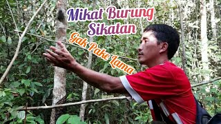 MIKAT BURUNG SIKATAN