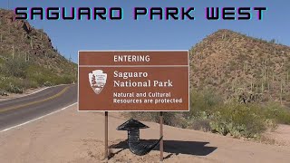 Tucsons Saguaro National Park West Tour