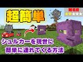 【マイクラ統合版】サバイバルで簡単にできるシュルカーを現世に連れてくる方法