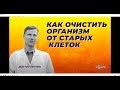 Как очистить организм от старых клеток.