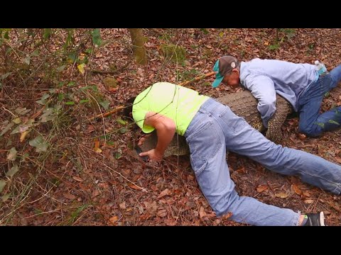 funny video memes Cuban Crocodile Capture Pt 2! Kamp Kenan S3 Episode 24