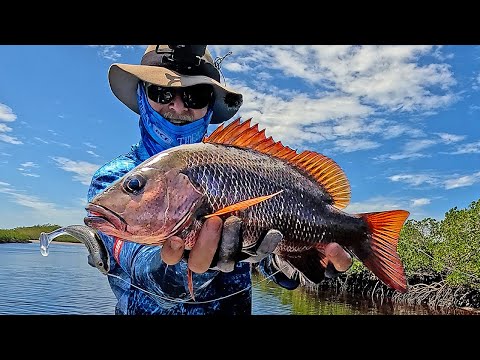 Catching The King Of The Mangroves! | Plus, Mud Crab Catch & Cook!