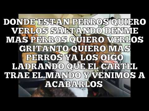 Perros Letra-cartel De Santa