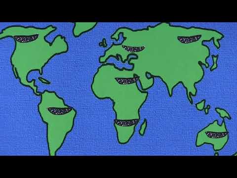 Introduction to Check