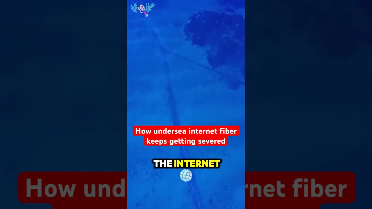 Undersea internet cables destroyed by Russia and China