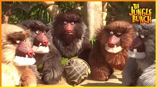 The Jungle Bunch Tackles A Wedding | Jungle Bunch | 105' Compilation | Cartoon For Kids