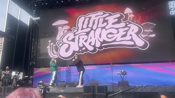Little Stranger  - Brain Fog - Live Cali Vibes 2024