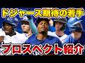 【MLB】ドジャースのプロスペクトTOP10を紹介!次に台頭するのは誰?