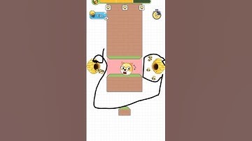 Save The Dog Level | shorts | #shorts | #short | save the dog  shorts video | #games | #viral