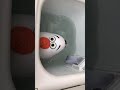オラフを二槽式洗濯機で洗ってみたら(2)