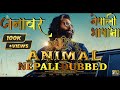 Animal official nepali trailer nepali dubbed  animesagar   reaction  sagar od