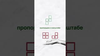 Структура — это скелет сада!От неё зависит, как он будет выглядеть через год, пять или десять #дача