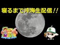 ながら作業のお供に✨【CRスーパー海物語IN沖縄4】#ポイ活 #パチンコ #ぱちんこ #海物語 #沖海 #game #ライブ #shorts #short #縦型配信 #asmr
