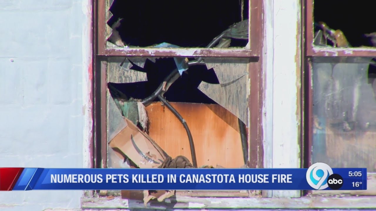 Numerous pets killed in Canastota house fire - YouTube