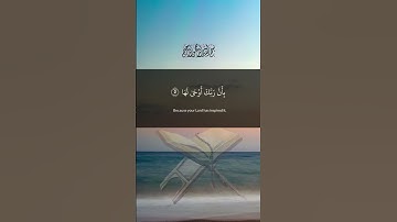 سورة الزلزلة |Surah Al Zalzalah|🤲☝️تلاوة تهز النفس الطمأنينة 🎧📖 #ب_عبدالكريم #اكسبلور