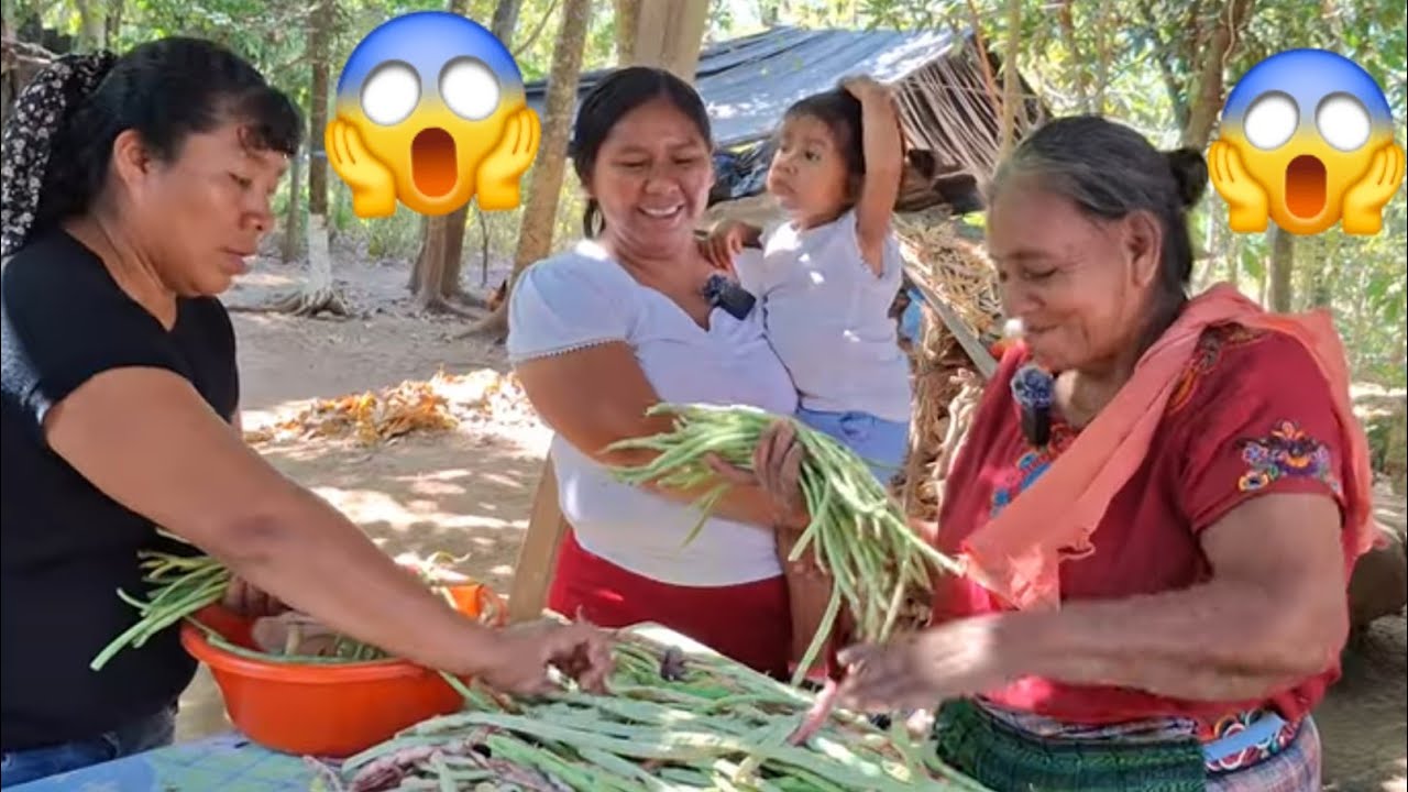 MARIBEL No Lo Puede Creer/Mira Todo Lo Q Hace DOÑA MANUELA PARA NO MORIR DE HAMBRE😱😱