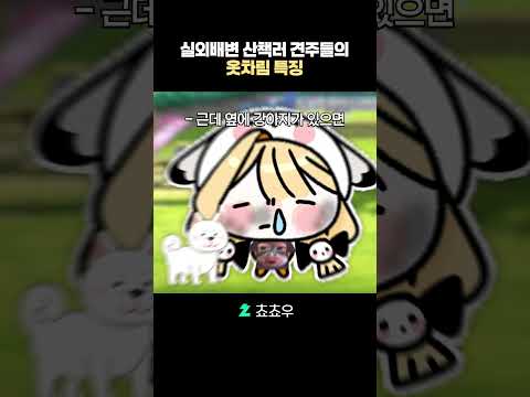공감되는 실외배변 산책러 견주들의 옷차림 특징