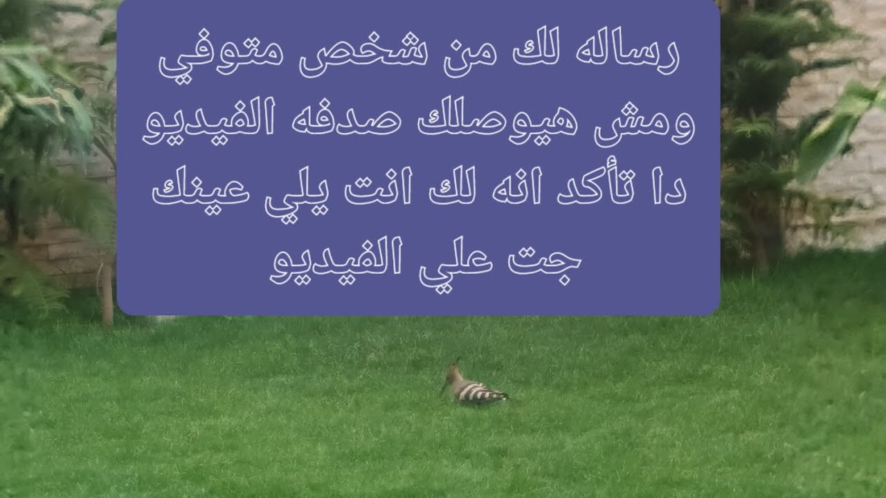 رساله لك من شخص متوفي ومش هيوصلك صدفه الفيديو دا تأكد انه لك انت يلي عينك جت علي الفيديو