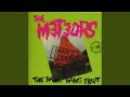 Miniature de la vidéo de la chanson Don't Touch The Bang Bang Fruit (Manky Monkey Mix)