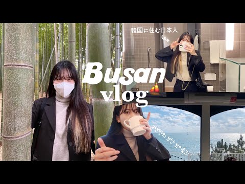 【韓国vlog】２年ぶりの釜山旅行🌊<strong>朝</strong>から夜まで楽しすぎんか。😇💚 | 海辺列車🚞、ヨット⛵️、<strong>金</strong>海国際空港🛩（そしてご飯🍱）