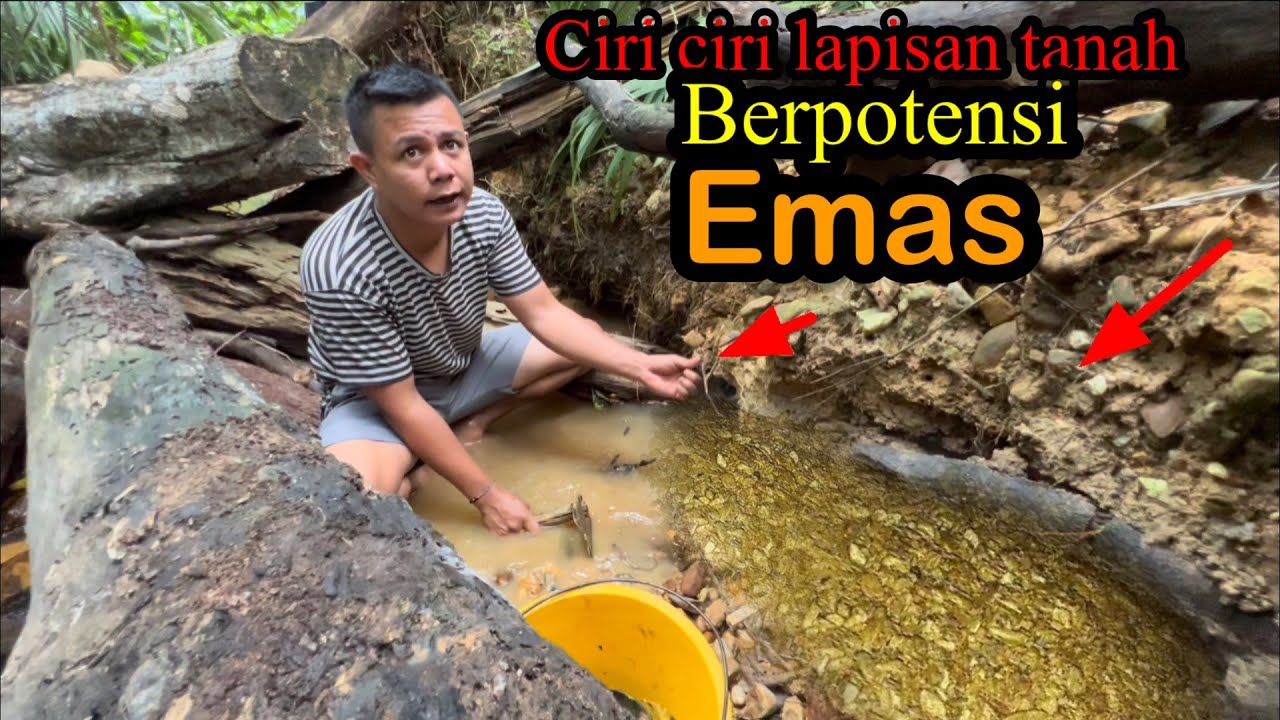 SANGAT BERUNTUNG.JIKA ANDA MENEMUKAN SUNGAI SEPERTI INI,INILAH CIRI CIRI SUNGAI YANG MENGANDUNG EMAS