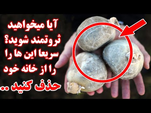 تصویری: تمام کردن خانه در بیرون: مواد، عکس