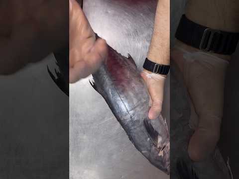 طريقة عمل سمك كنعد او دراك في الفرن شيف فكرى 