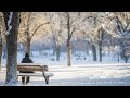 موسيقى كلاسيكية رائعة لشتاء دافئ يهدئ الجهاز العصبي موزارت روسيني باخ ديبوسي