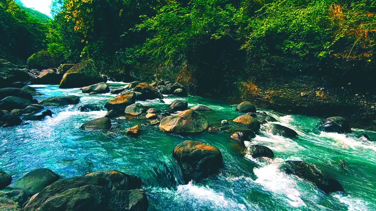 White Noise from Flowing River – Forest Ambience for Sleep, Focus & Meditation