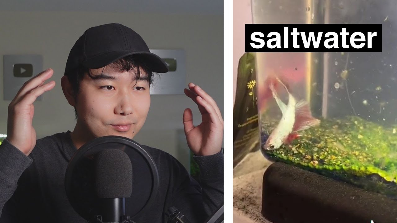 Putting Betta Fish In A Sea Monkey Tank WCGW Fish Tank Review 179 putting-betta-fish-in-a-sea-monkey-tank-wcgw-fish-tank-review-179