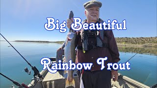 Big Beautiful Rainbow Trout!
