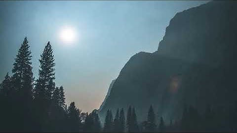 عطر مسامعك وأرح قلبك تلاوة شجية بقمة الجمال لاتوصف